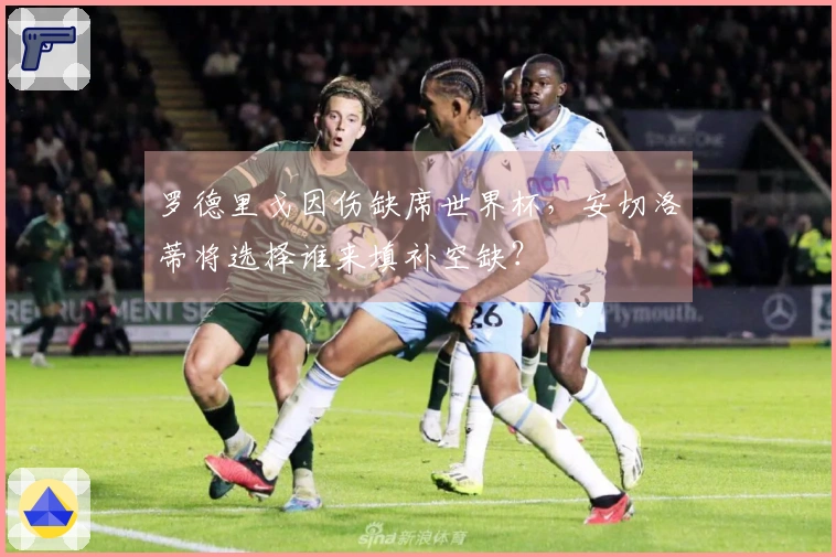 罗德里戈因伤缺席世界杯，安切洛蒂将选择谁来填补空缺？