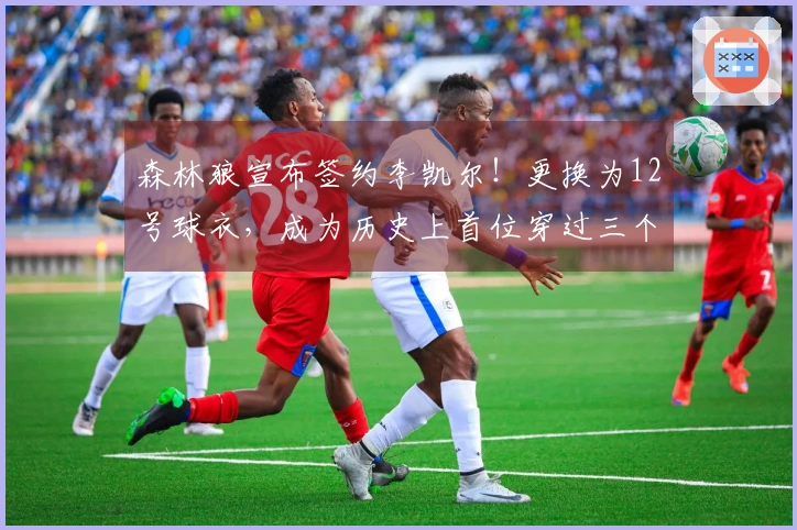 森林狼宣布签约李凯尔！更换为12号球衣，成为历史上首位穿过三个号码的球员。