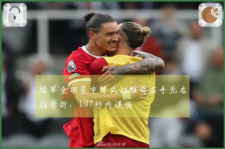 绿军全明星中锋武切维奇右手无名指骨折，107秒内退场