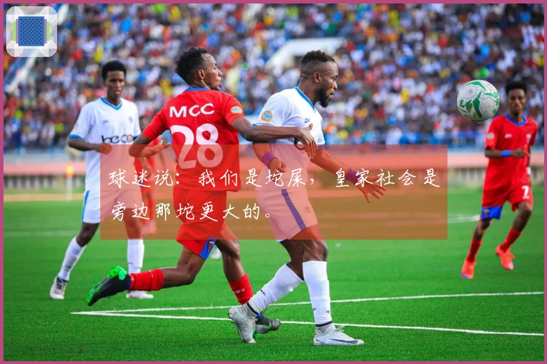 球迷说：我们是坨屎，皇家社会是旁边那坨更大的。